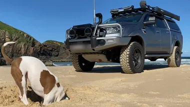 Dr Harry visits a dog who can’t stop digging