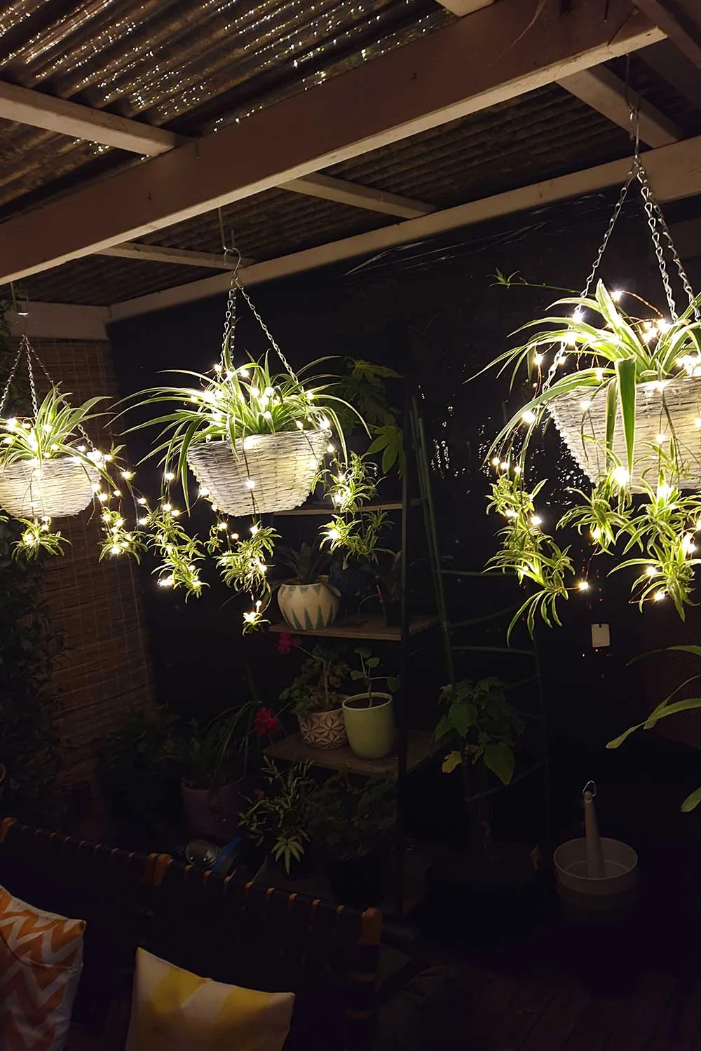 Hanging garden