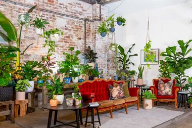 The top 10 indoor plant influencers in the world