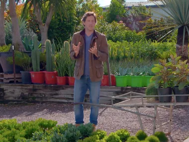 How to use texture in your garden