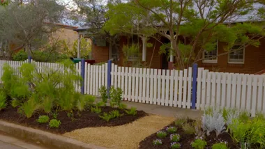 Charlie creates a native verge garden