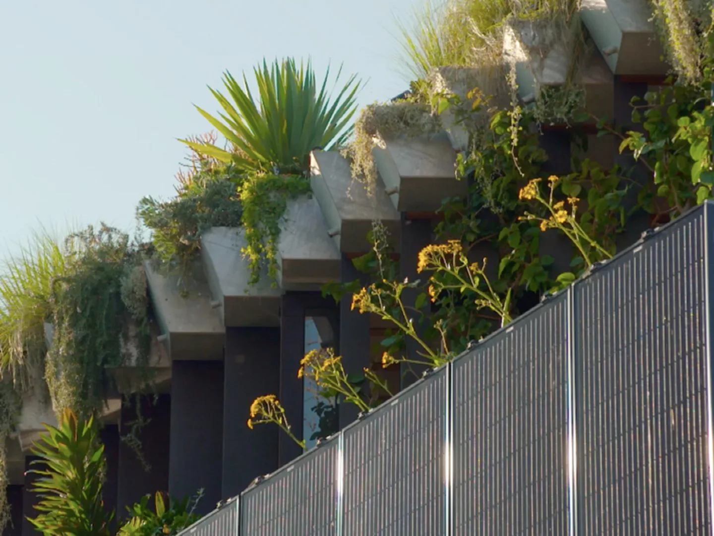 Johanna visits the Jungle House