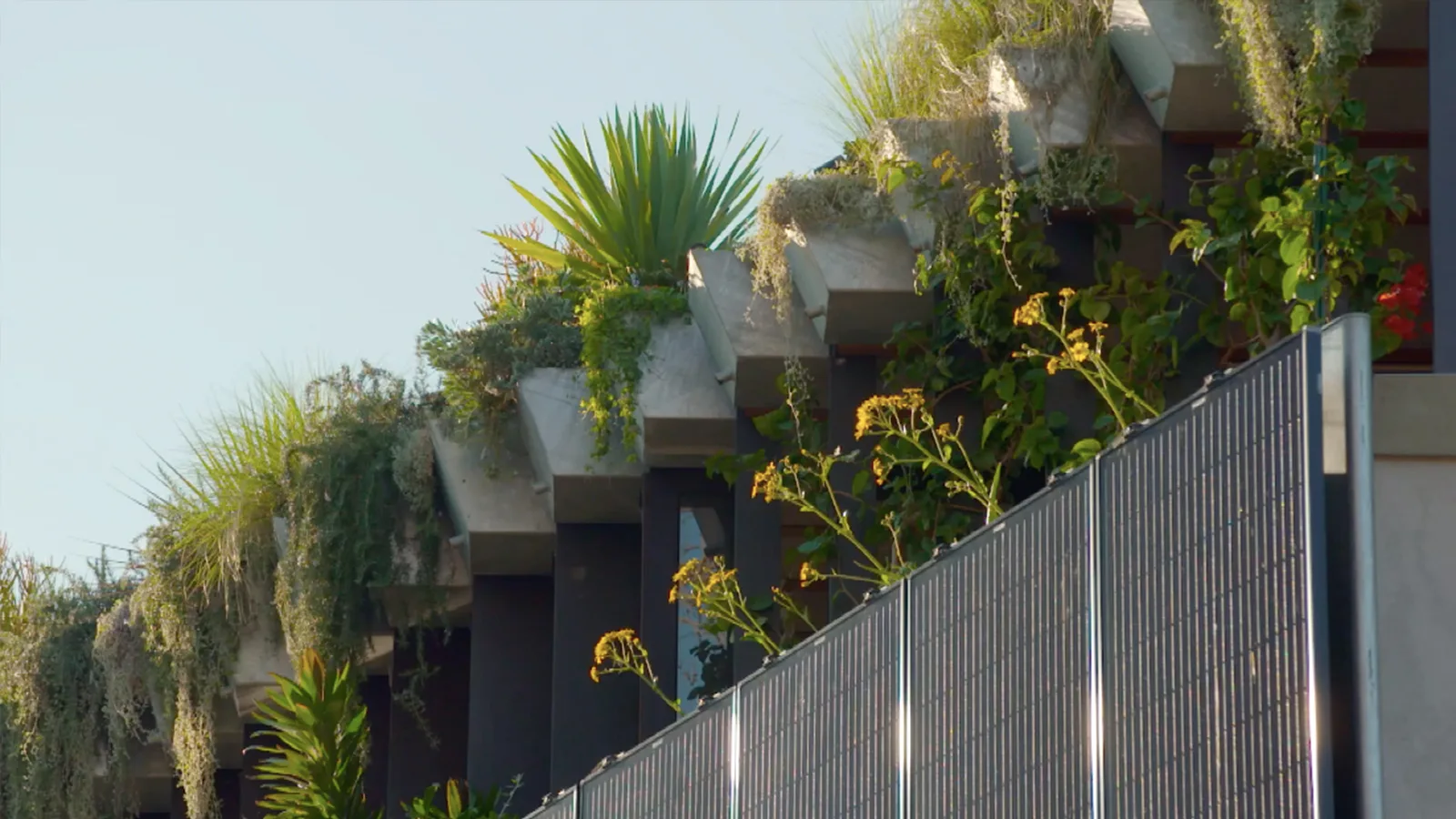 Johanna visits the Jungle House