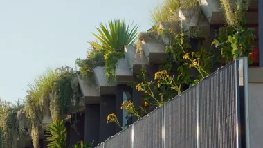 Johanna visits the Jungle House