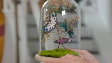 How to make paper butterflies