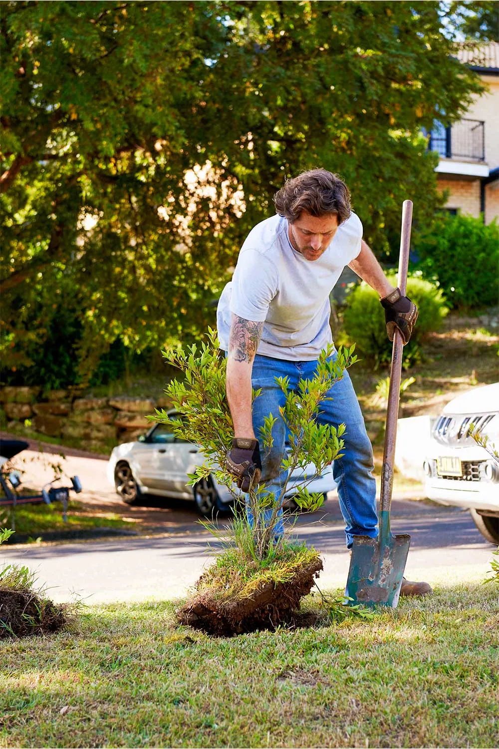 Charlie Albone in garden