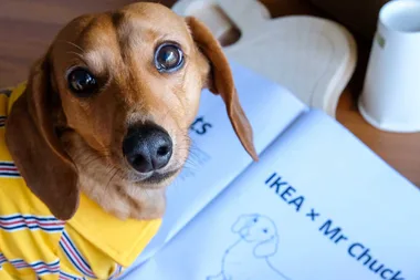 Ikea launches quirky limited-edition mindfulness range