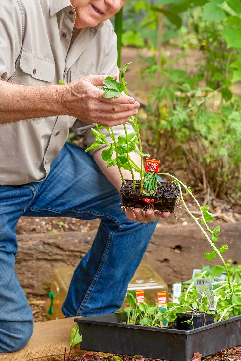 Graham Ross with seedlings