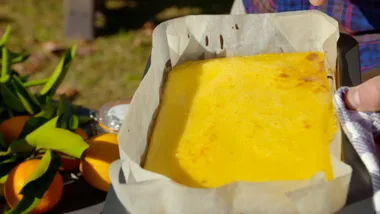 Old Fashioned Lemon & Grapefruit Slice