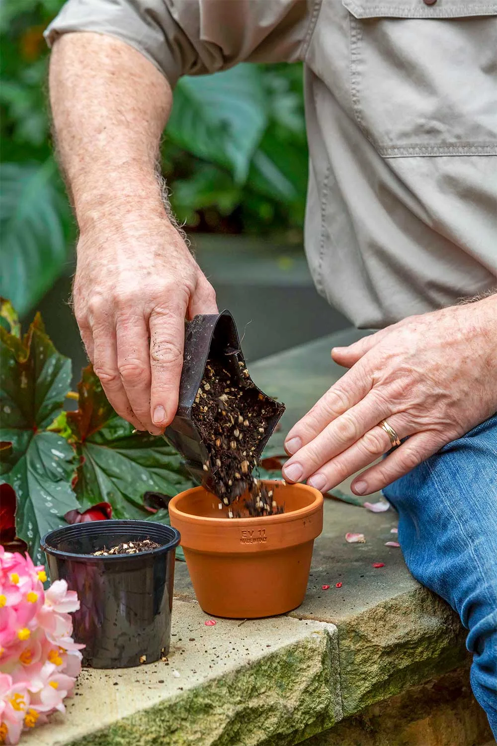 Pour growing media into pots