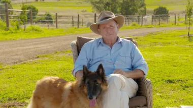 How to treat a dog with anxiety