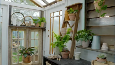 Before and after: From old shed to stunning greenhouse
