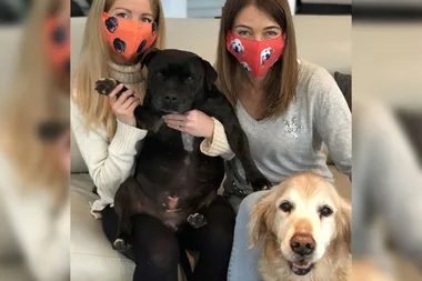 You can now buy face masks with your pet’s photo on them
