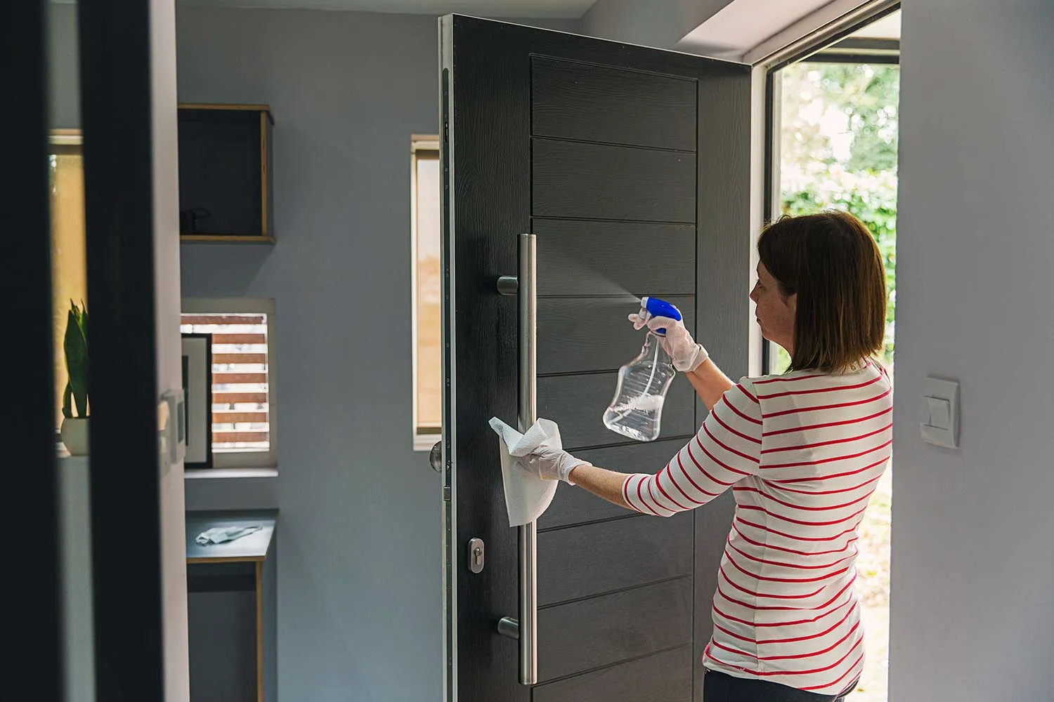 Cleaning door