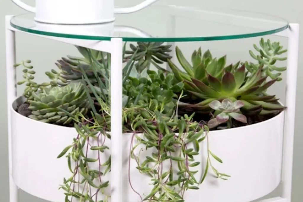 Terrarium table close up photo