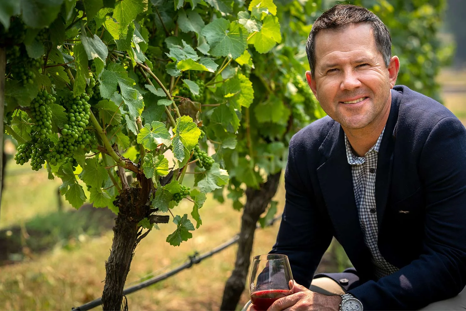 Ricky Ponting in a vineyard