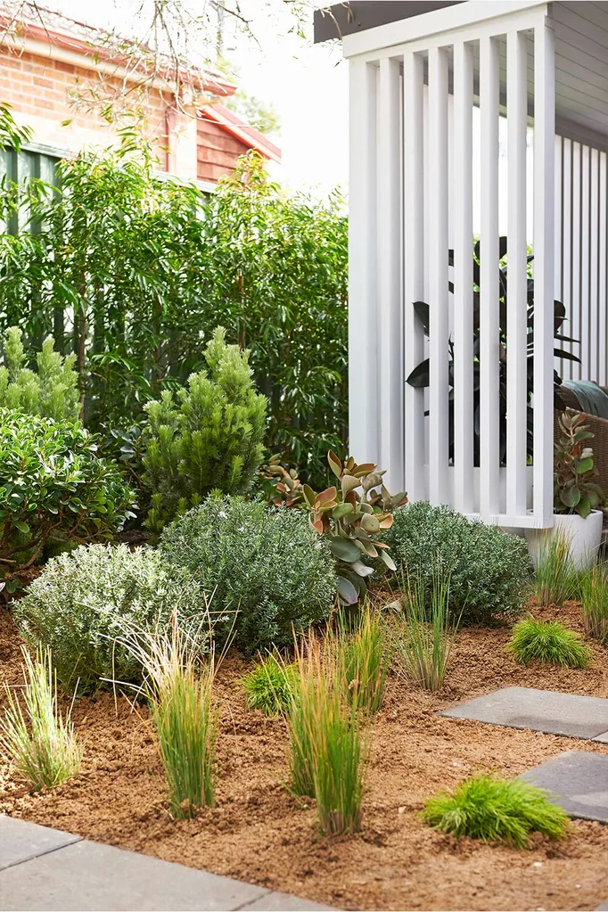Garden landscaping next to pergola