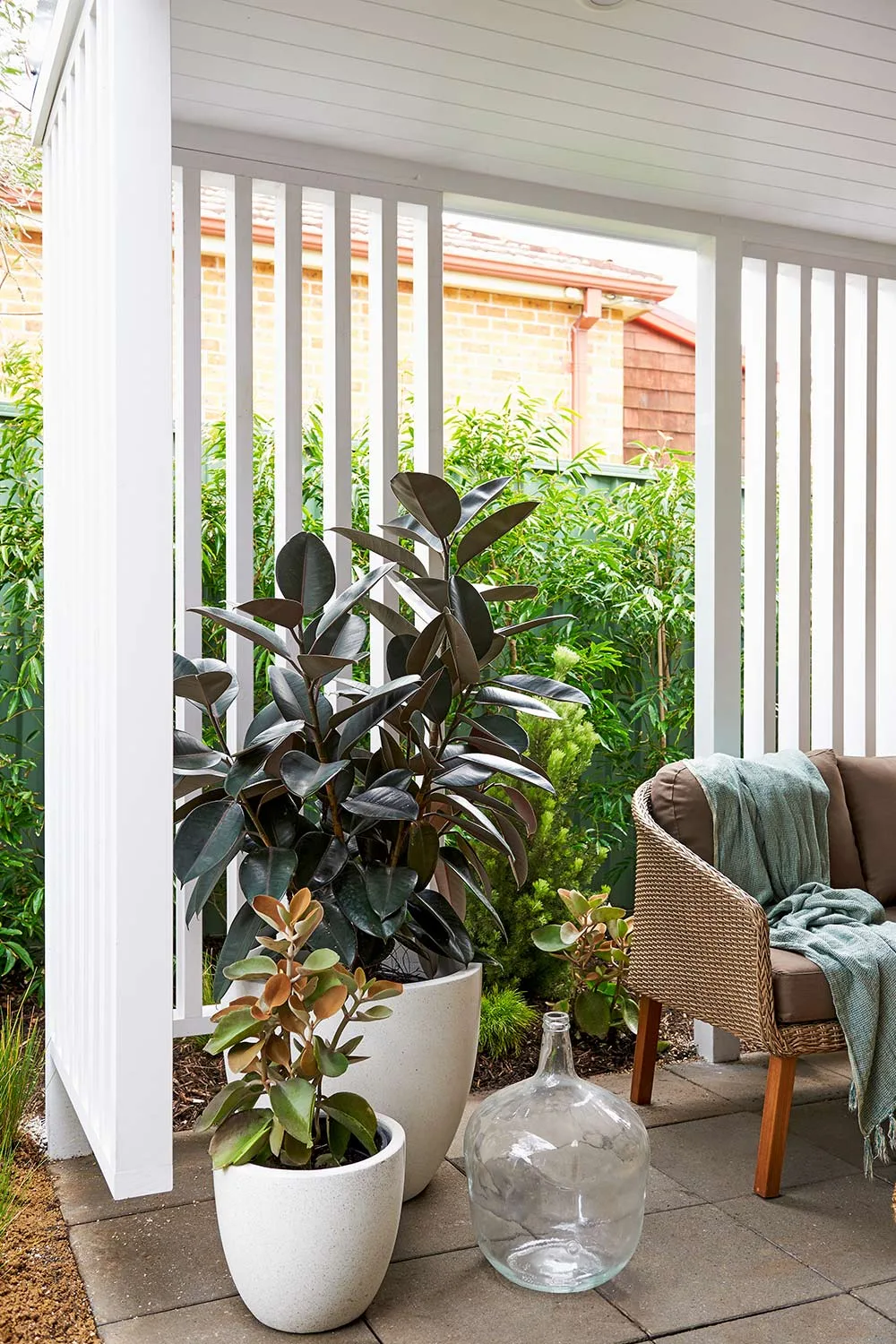Plants in outdoor room