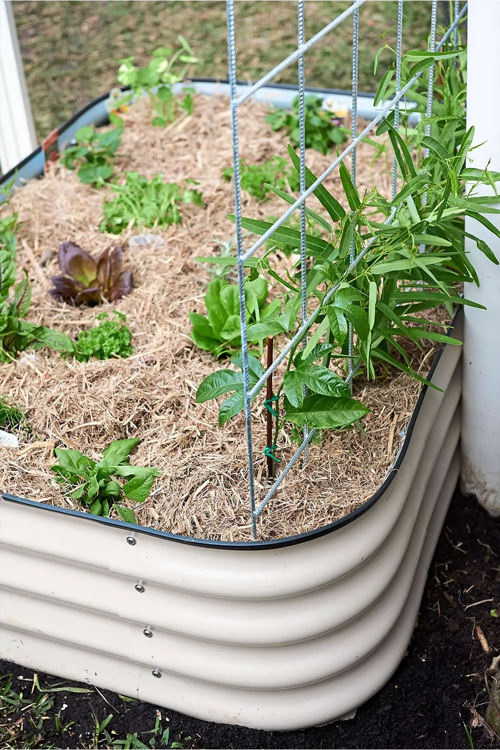 Raised herb garden bed