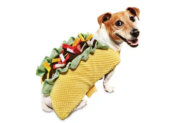 Petbarn has released hilarious Halloween costumes for pets
