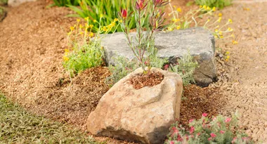 How to carve your own decorative rock planter