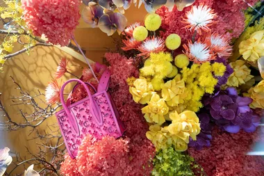 You can now take a virtual tour of David Jones’ spring flower show