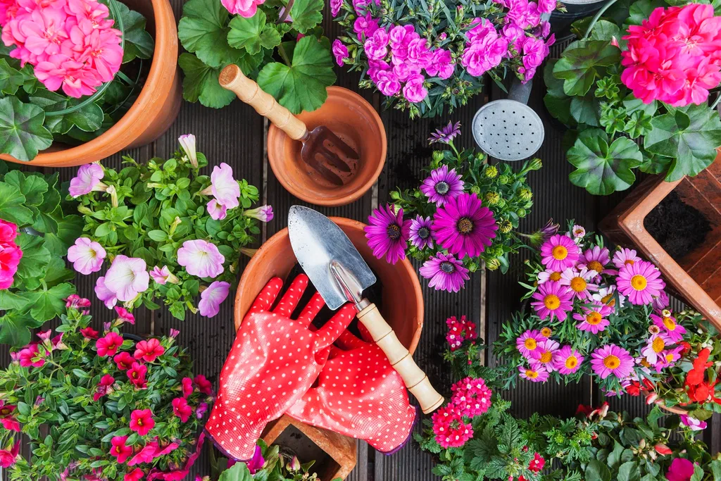Planting flowers
