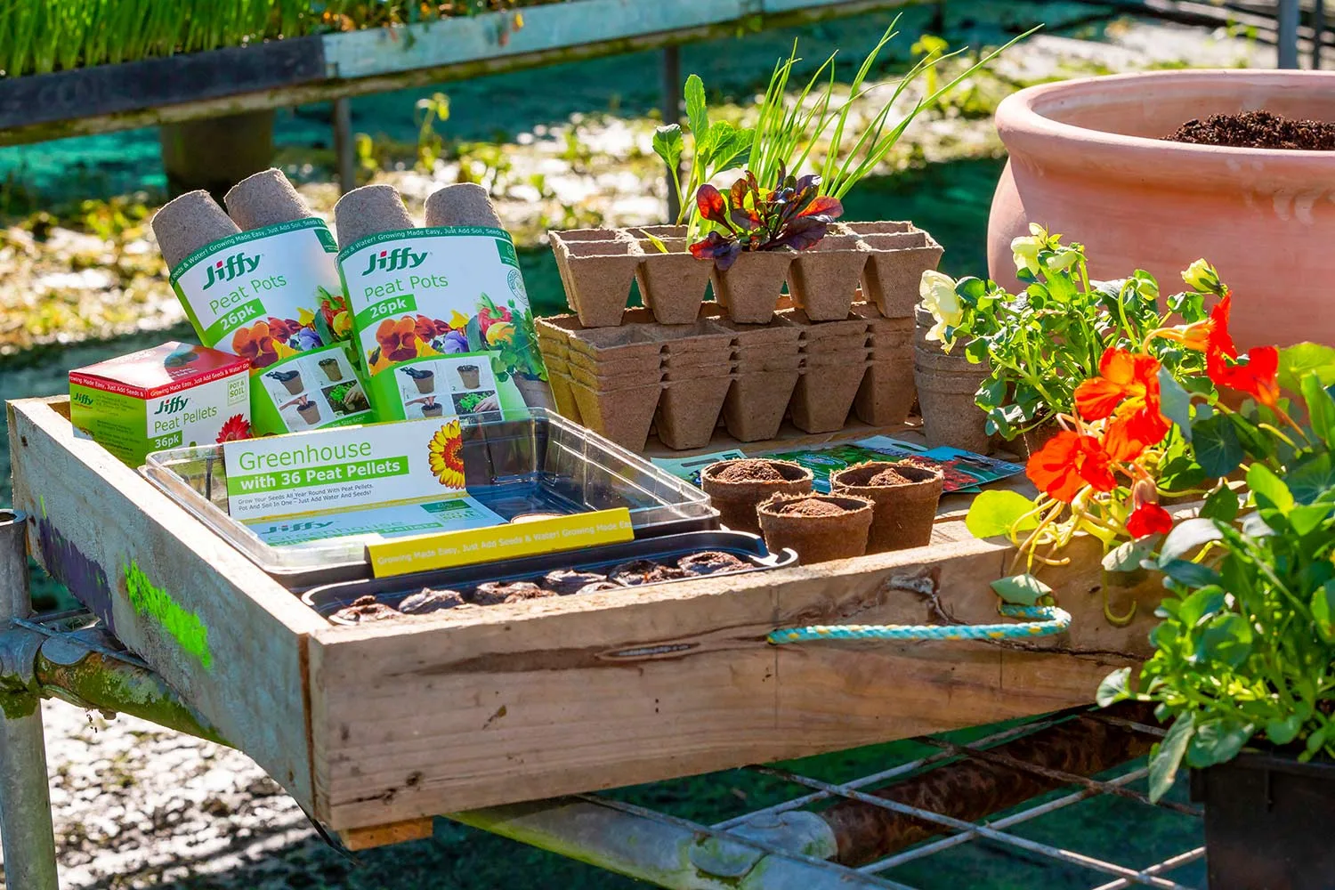 Organic seeds