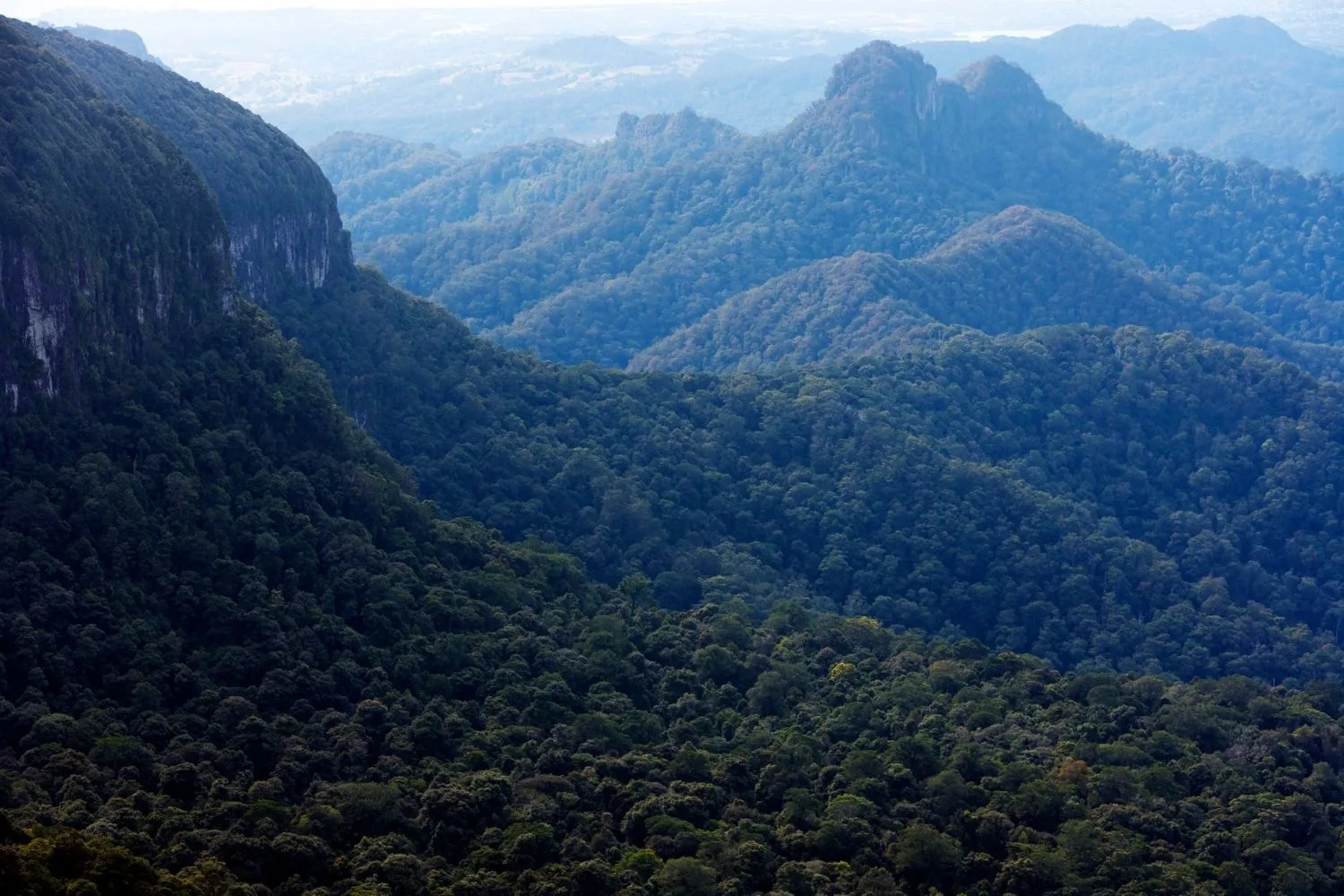 Mountains
