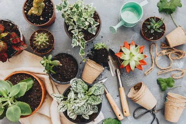 5 garden supply items for under $10 that will change your life