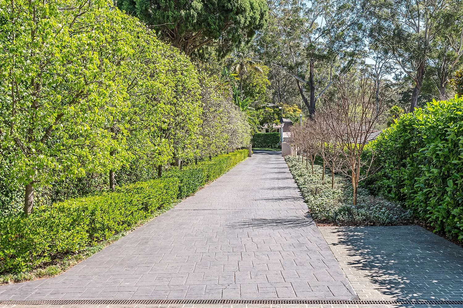 Paved garden path with hedge