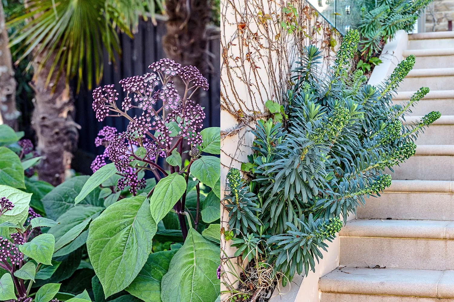 The easy way to get a designer-style garden
