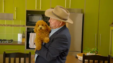 Dr Harry helps two cavoodles with a wee problem