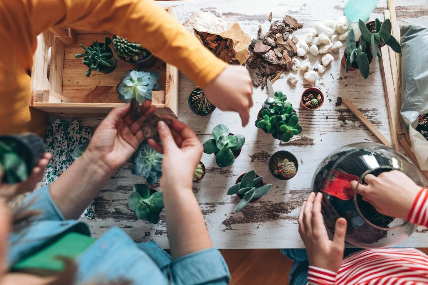 family making a terrarium