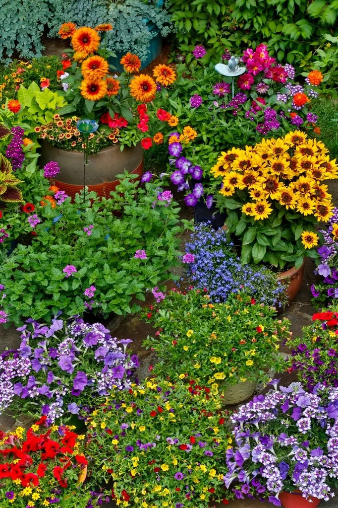 flower pots