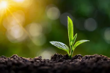 Fertilisers – the need to feed