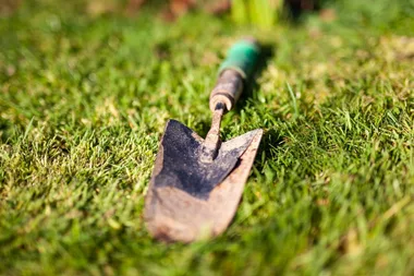 How to restore your rusty garden tools