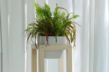 How to make an easy plant stand