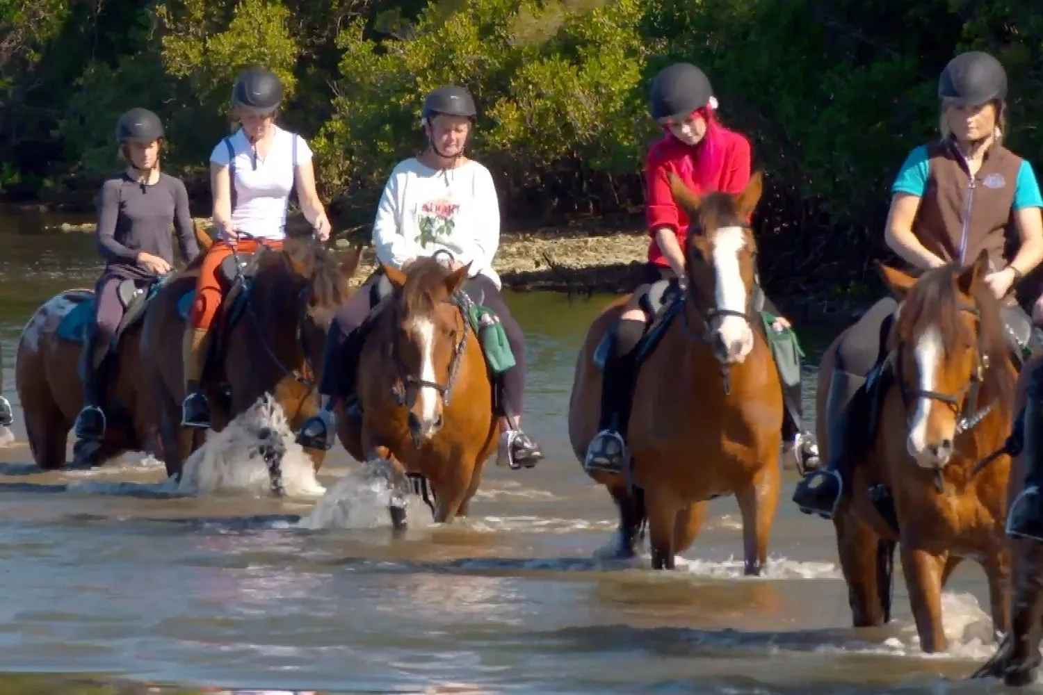 Horse riding for beginners