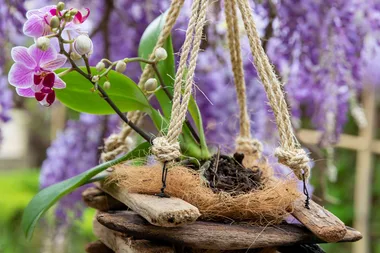 How to use sticks to create 3 gorgeous garden projects