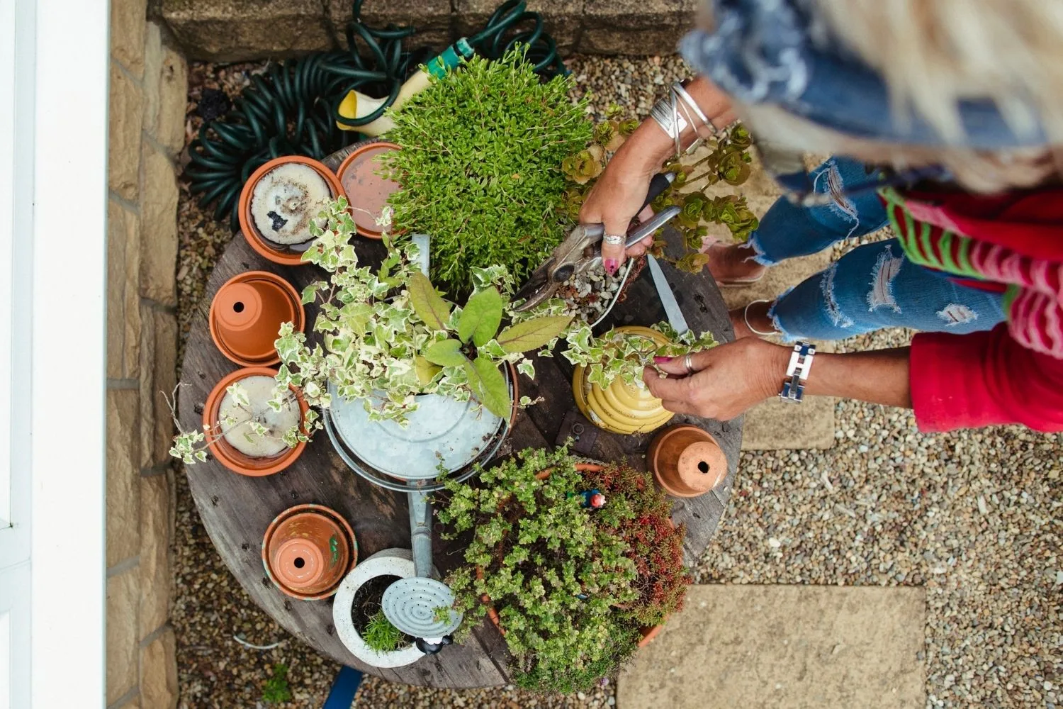 woman watering plants