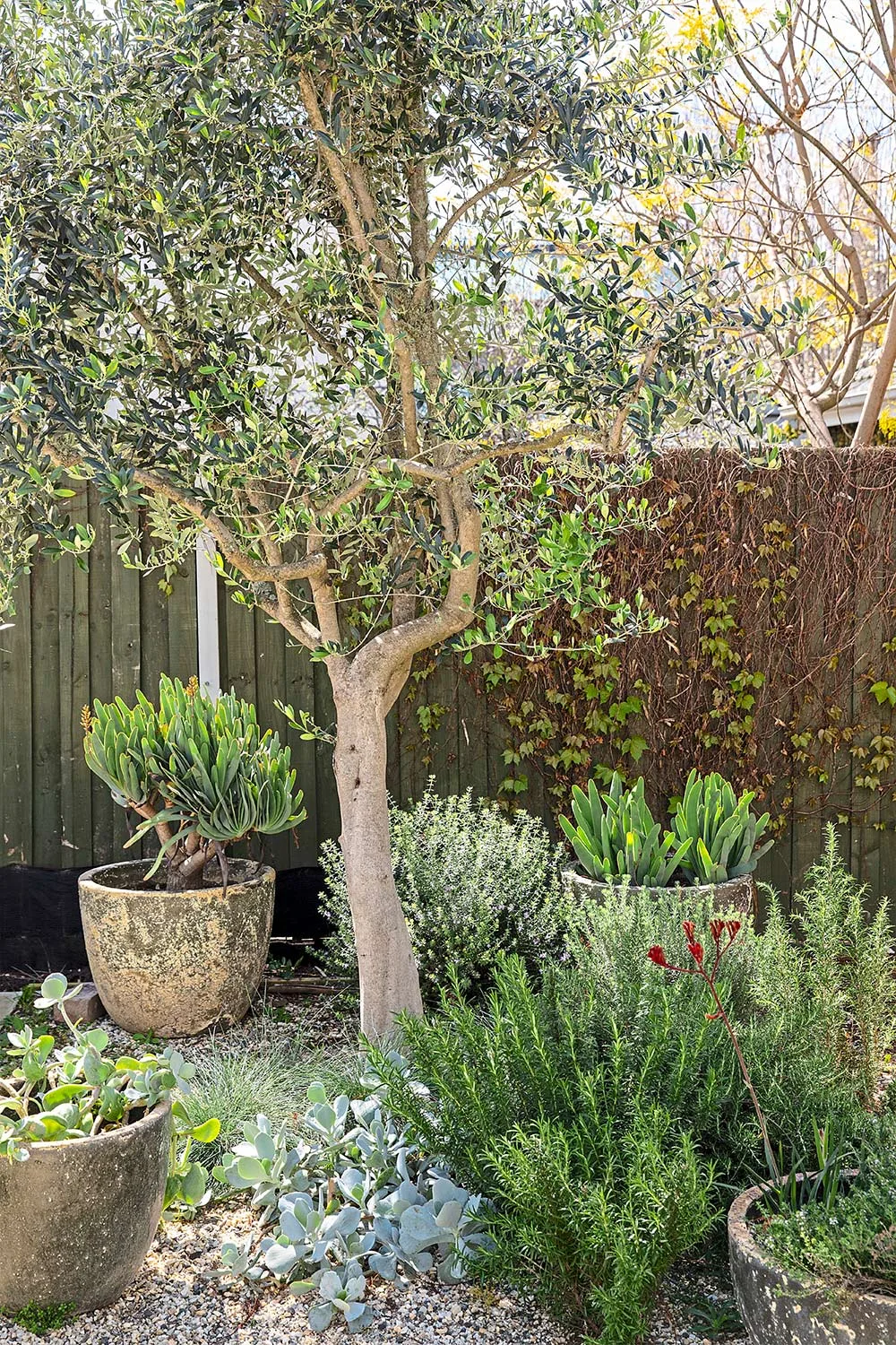 Herb garden