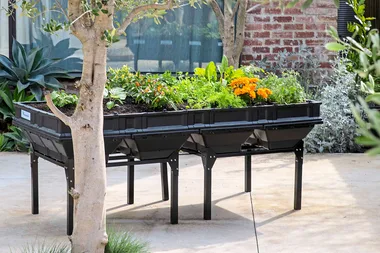 How to make a chef’s herb garden