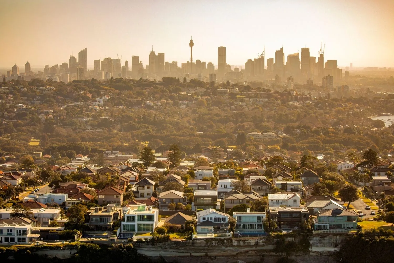 Sydney suburb at sunset