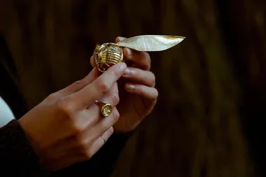 You can now buy a $45K Harry Potter themed golden snitch ring box