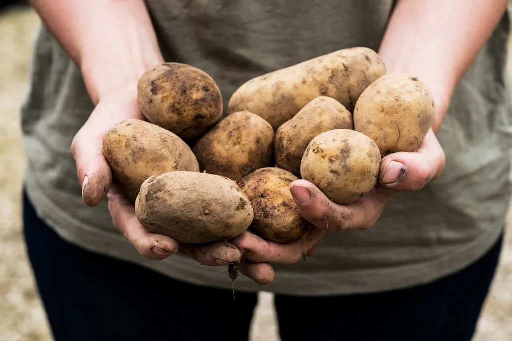 woman holding potatoes