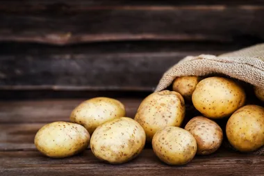 How to plant and grow potatoes like a pro