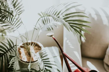 9 of best indoor garden ideas