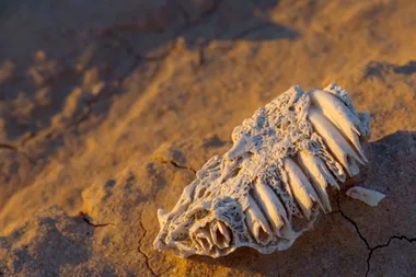 James Tobin visits Mungo National Park