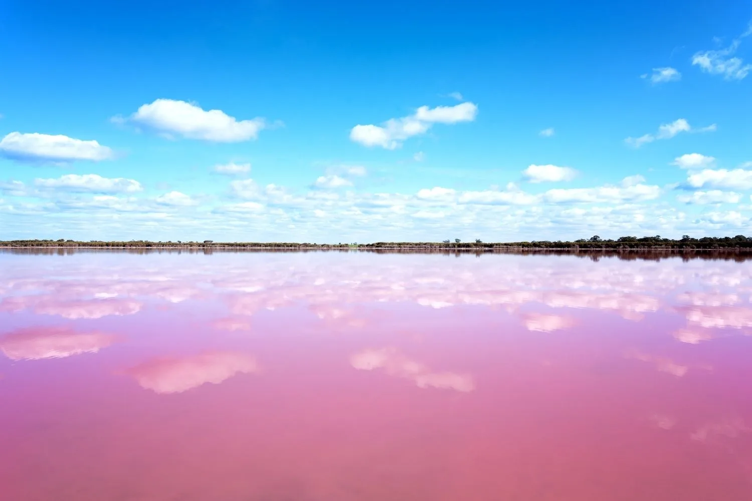 pink lake blue sky